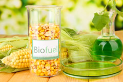 Low Eighton biofuel availability